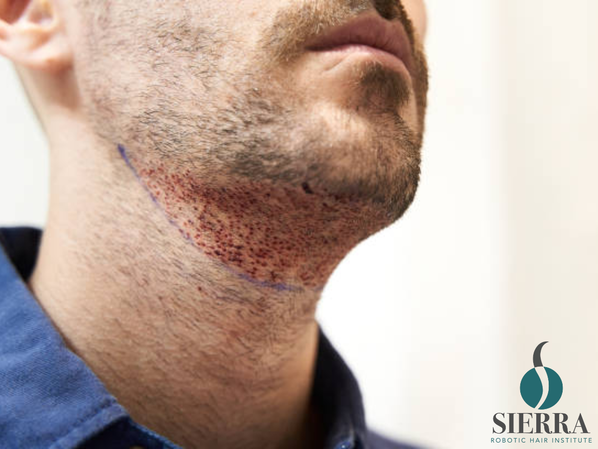 Your Growth Timeline