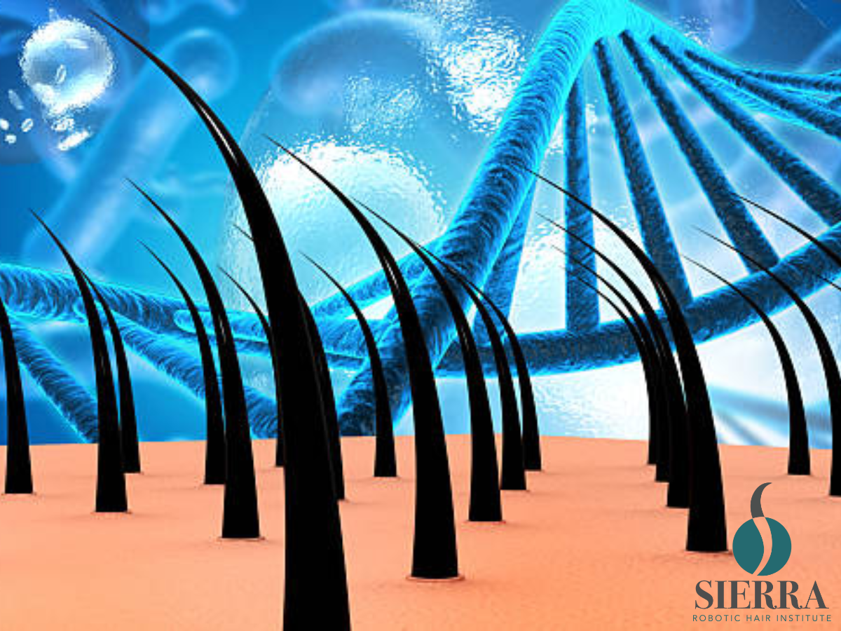 The Science That Makes Hair Restoration Work